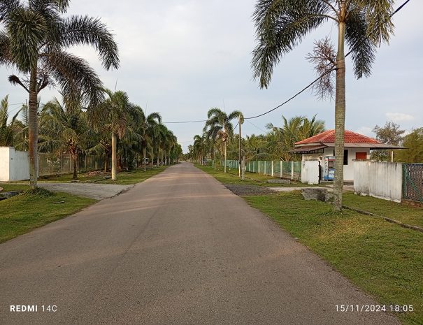 IMG_20241115_180521_1080