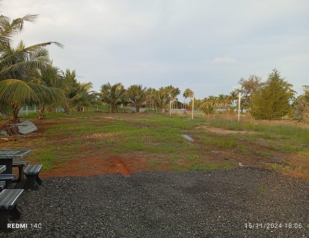 IMG_20241115_180644_1080