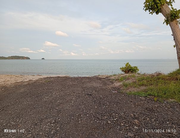 IMG_20241115_181054_1080