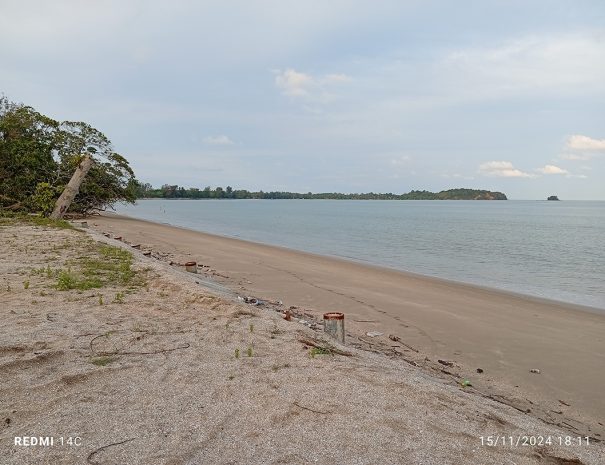 IMG_20241115_181135_1080