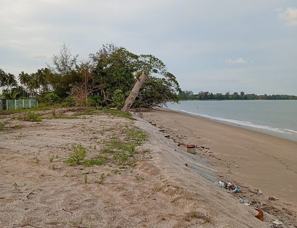 IMG_20241115_181202_1080