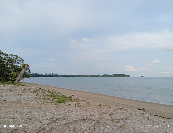 IMG_20241115_181317_1080