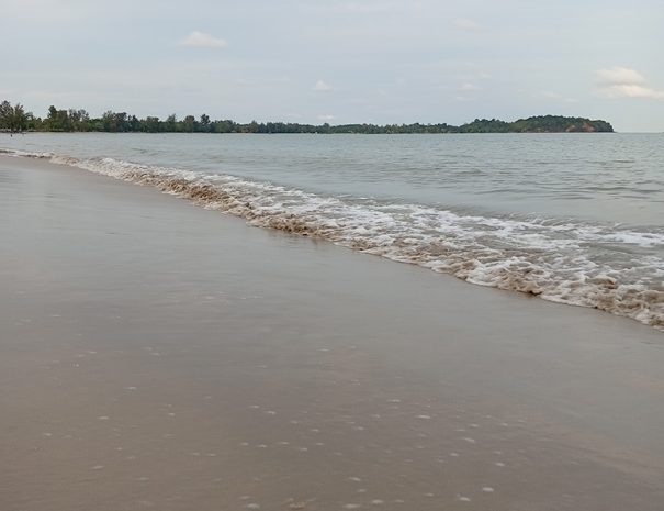 IMG_20241115_181437_1080