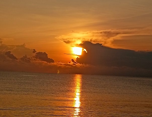 IMG_20241116_070125_1080