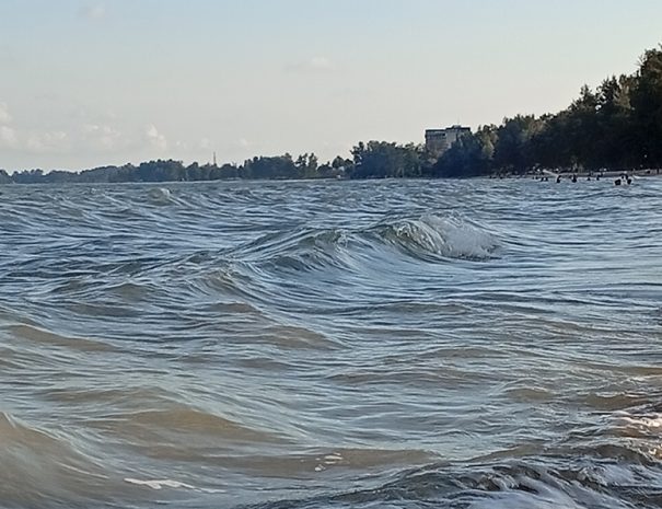 IMG_20241227_175728_1080