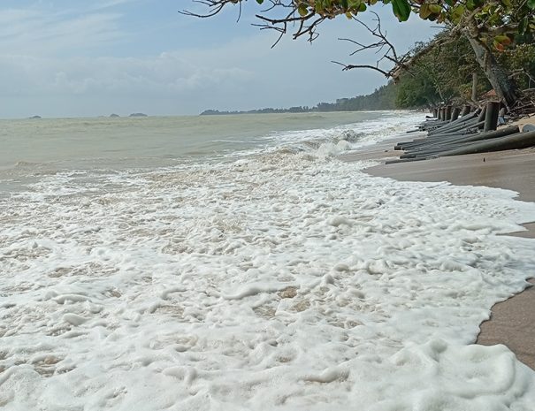 IMG_20250130_110142_1080