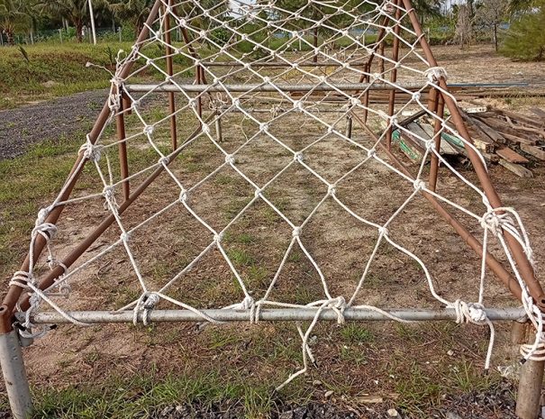 IMG_20250208_175020_1080