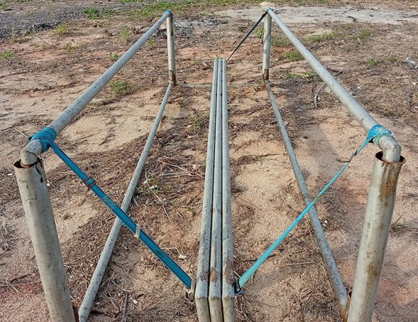 IMG_20250208_175311_1080